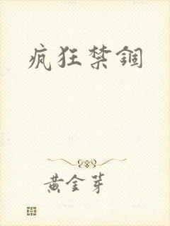 疯狂禁锢封面