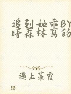 追到她乖BY黑暗森林写的小说封面