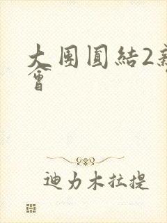 大团圆结2亲情会