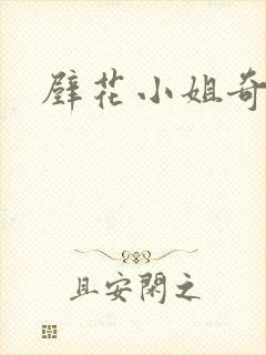 壁花小姐奇遇记封面