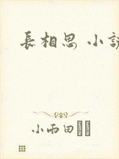 长相思 小说封面
