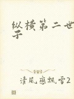 纵横第二世界宽子