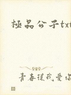 极品公子txt