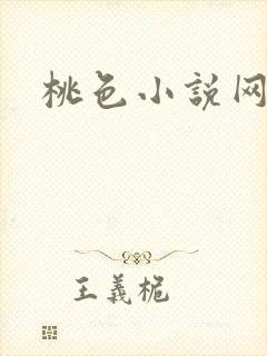 桃色小说网封面
