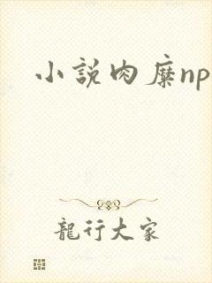 小说肉糜np