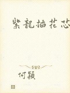 紫龙插花芯方正封面