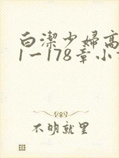 白洁少妇高义第1一178章小说