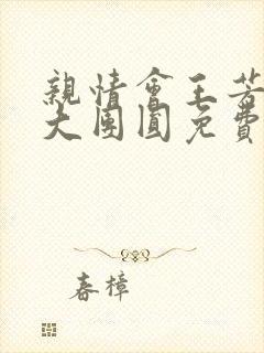 亲情会王芳高敏大团圆免费阅读