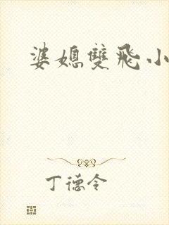 婆媳双飞小说