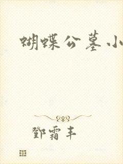 蝴蝶公墓小说封面
