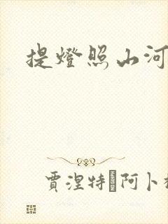 提灯照山河封面