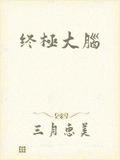 终极大脑