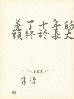 养了十年的小丫头终于长大了封面