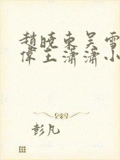 赵晓东吴雪晴郑伟王潇潇小说名字