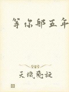 等你那五年