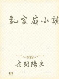 乱家庭小说