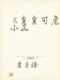 《岌岌可危》夏小正封面