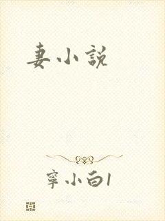 妻小说