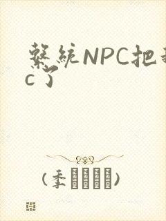 系统NPC把我c了