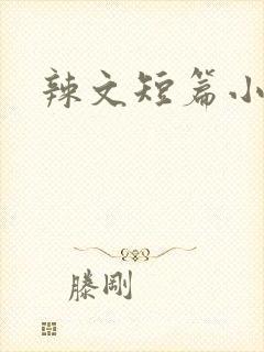辣文短篇小说