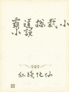 霸道总裁小娇妻小说