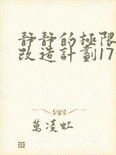 静静的极限自我改造计划17封面