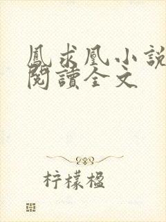 凤求凰小说免费阅读全文