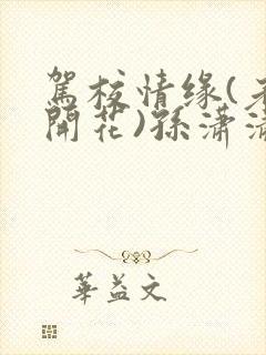 驾校情缘(老树开花)孙潇潇第一次趣笔阁封面