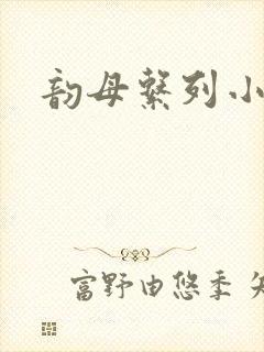 韵母系列小说