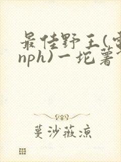 最佳野王(电竞nph)一坨薯饼