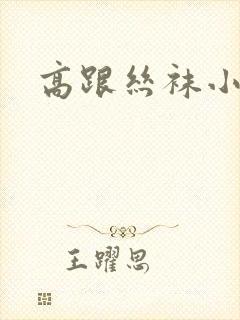 高跟丝袜小说
