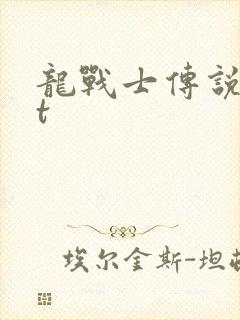 龙战士传说txt封面