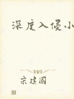 深度入侵小说封面