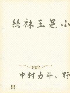 丝袜玉足小说