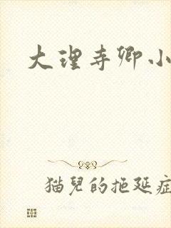 大理寺卿小说