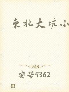 东北大坑小说