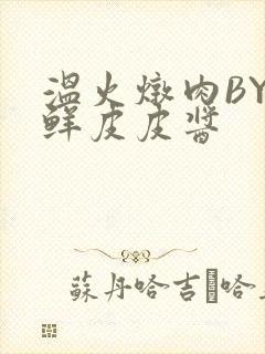 温火炖肉BY海鲜皮皮酱