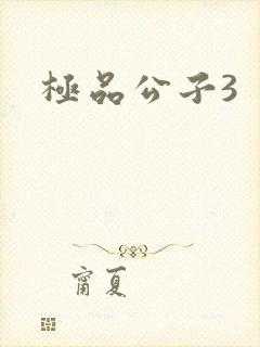 极品公子3