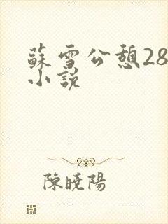 苏雪公憩28篇小说