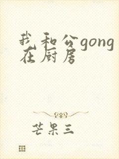 我和公gong在厨房