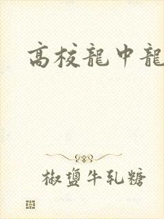 高校龙中龙