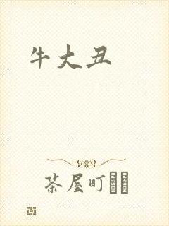 牛大丑封面