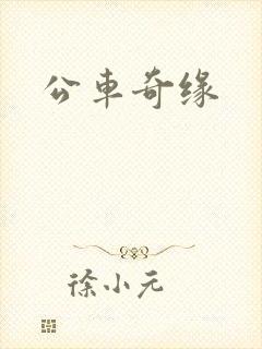 公车奇缘