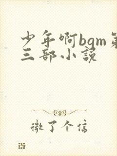 少年啊bgm第三部小说封面