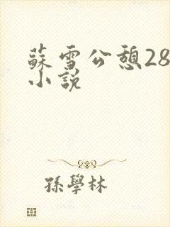 苏雪公憩28篇小说
