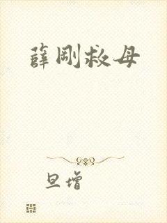 薛刚救母