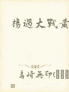 杨过大战黄蓉封面