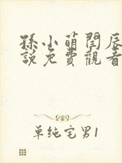 孙小萌闫辰的小说免费观看封面