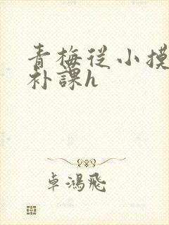 青梅从小摸到大补课h