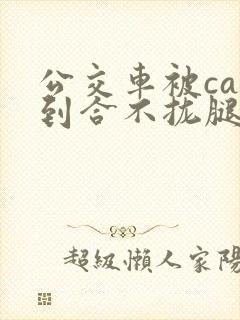 公交车被cao到合不拢腿视频